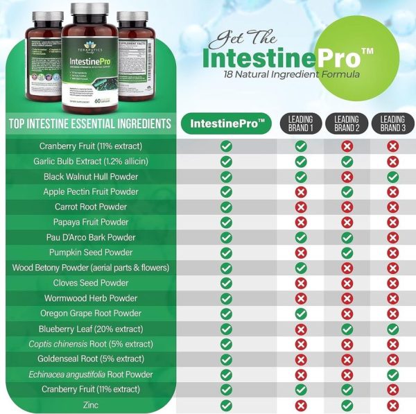Teraputics Pure Life - IntestinePro - Gut Health Supplement with  Non-GMO Wormwood, Black Walnut, Clove, Pumpkin Seed + 14 More  Premium Ingredients - Natural Support for Humans - 60 Vegetarian  Capsules - Image 3